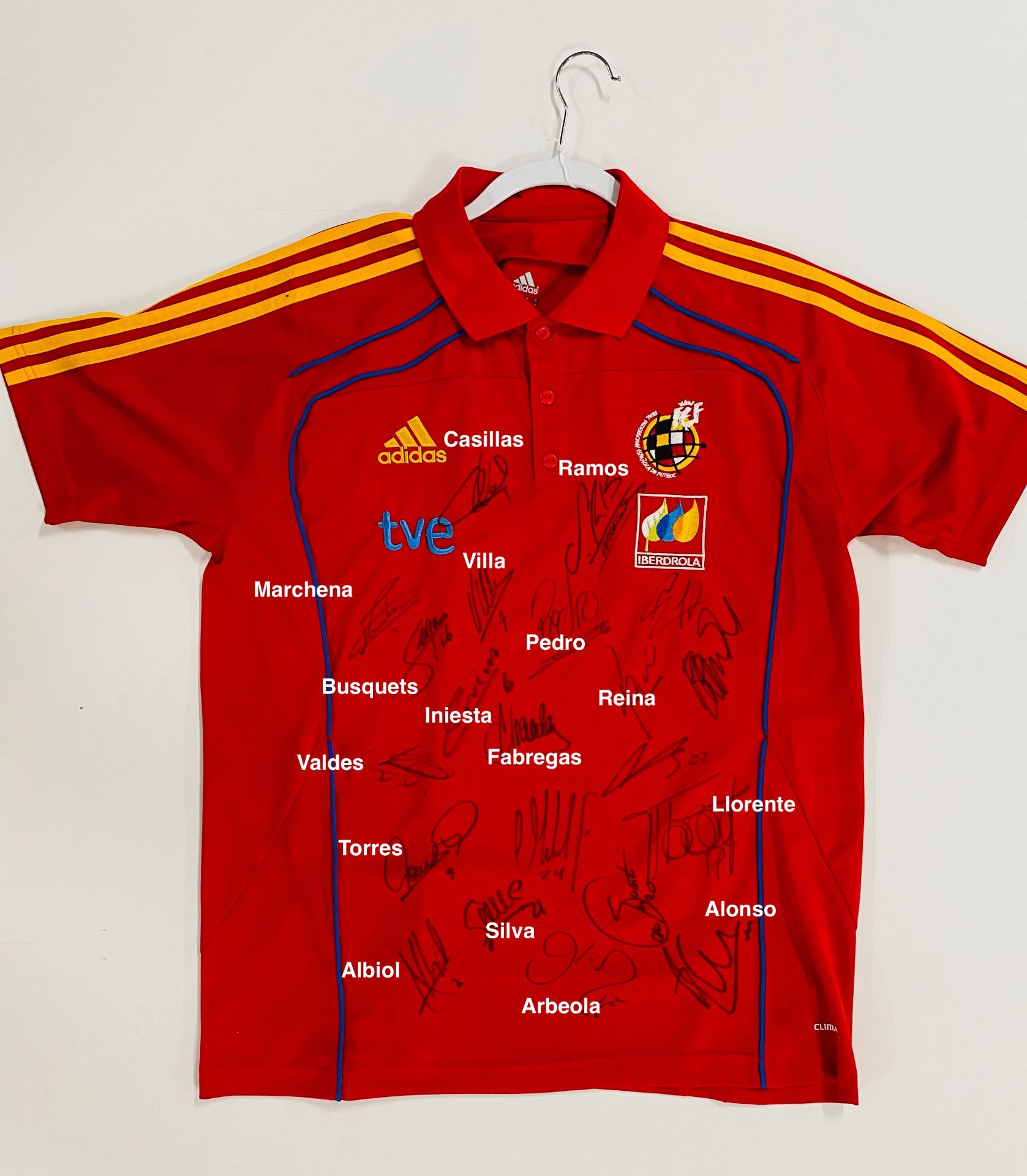 Spain 2010 World Cup signed jersey