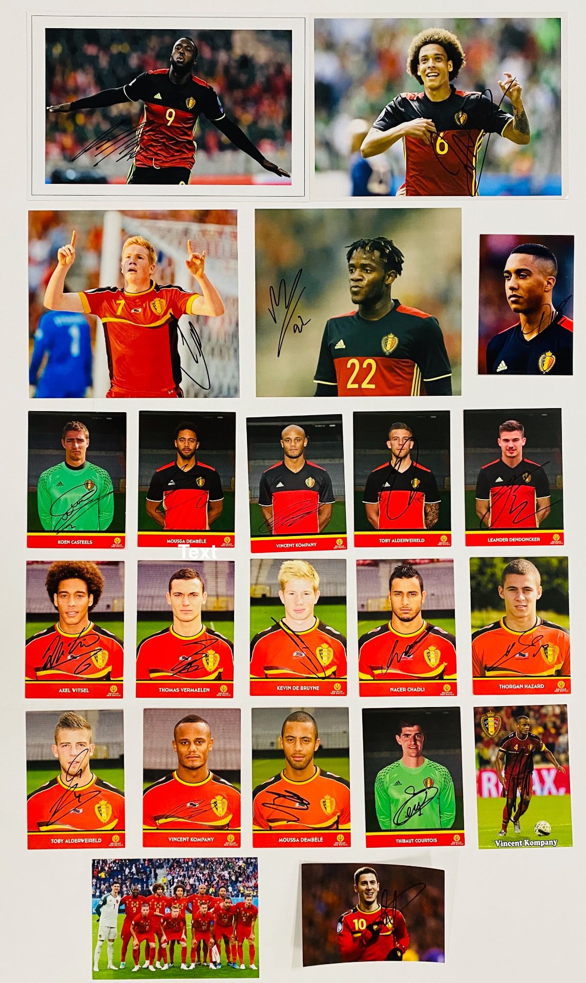 Belgium 2018 World Cup signed jersey - Image 3 of 3