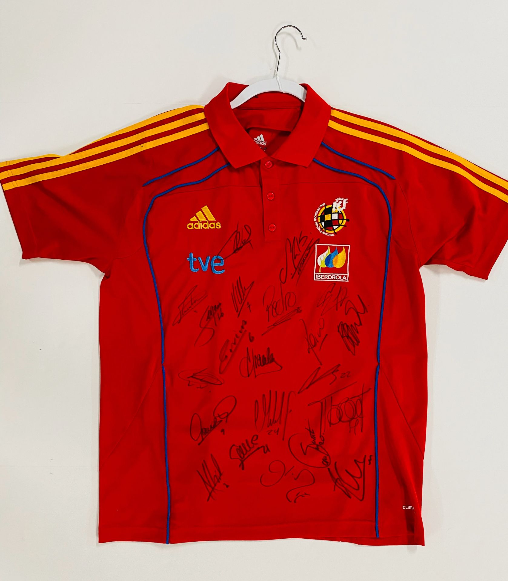 Spain 2010 World Cup signed jersey - Bild 2 aus 3