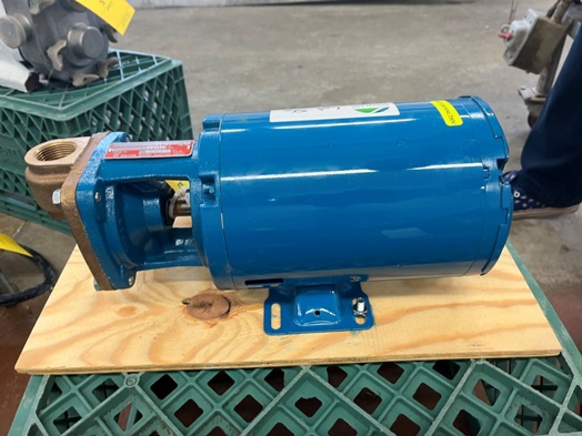 Burks 7CT7H-FE-CS Boiler Pump Spare, Bluffton Single Phase 0.75HP 3450RPM Motor - Image 8 of 10