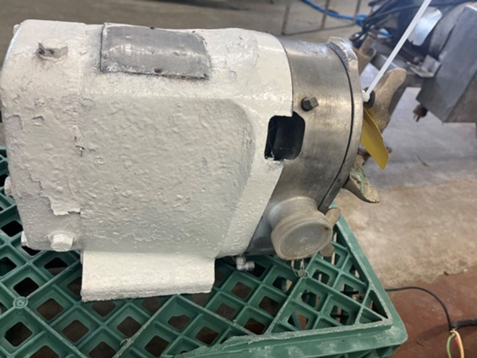 Waukesha Size 30 Positive Displacement Pump, 1.5" in and out, Serial 1289 SS, no motor - Image 7 of 9