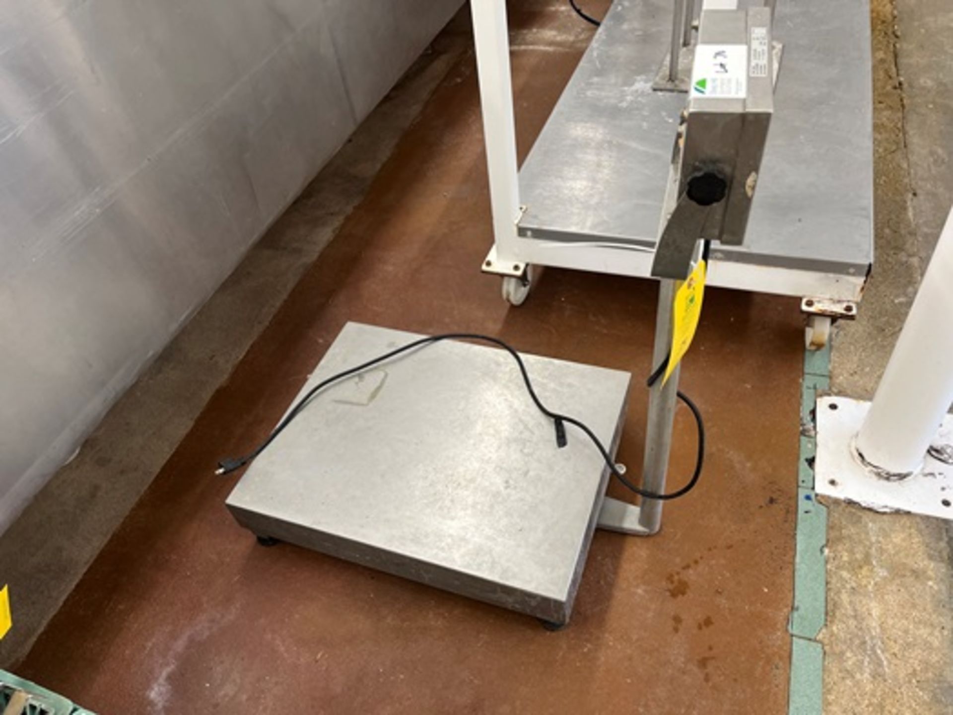 Floor Scale, Xtreme 3000 Series T31XW, Serial 00126396HJ, 2 - 300KG - Image 2 of 7