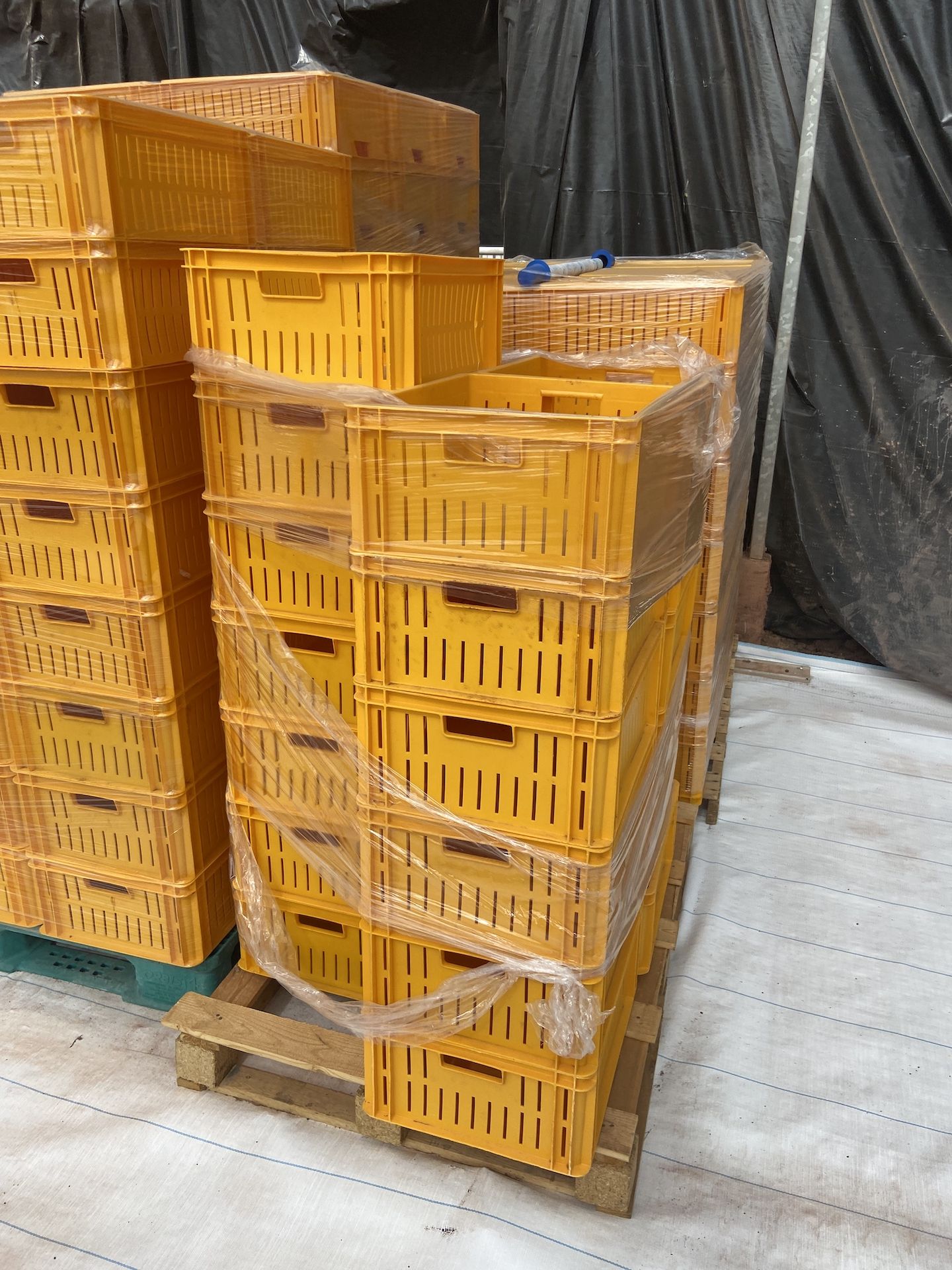 (Located in Snowflake, AZ) Yellow Crates, Qty 54 (1 Pallet)