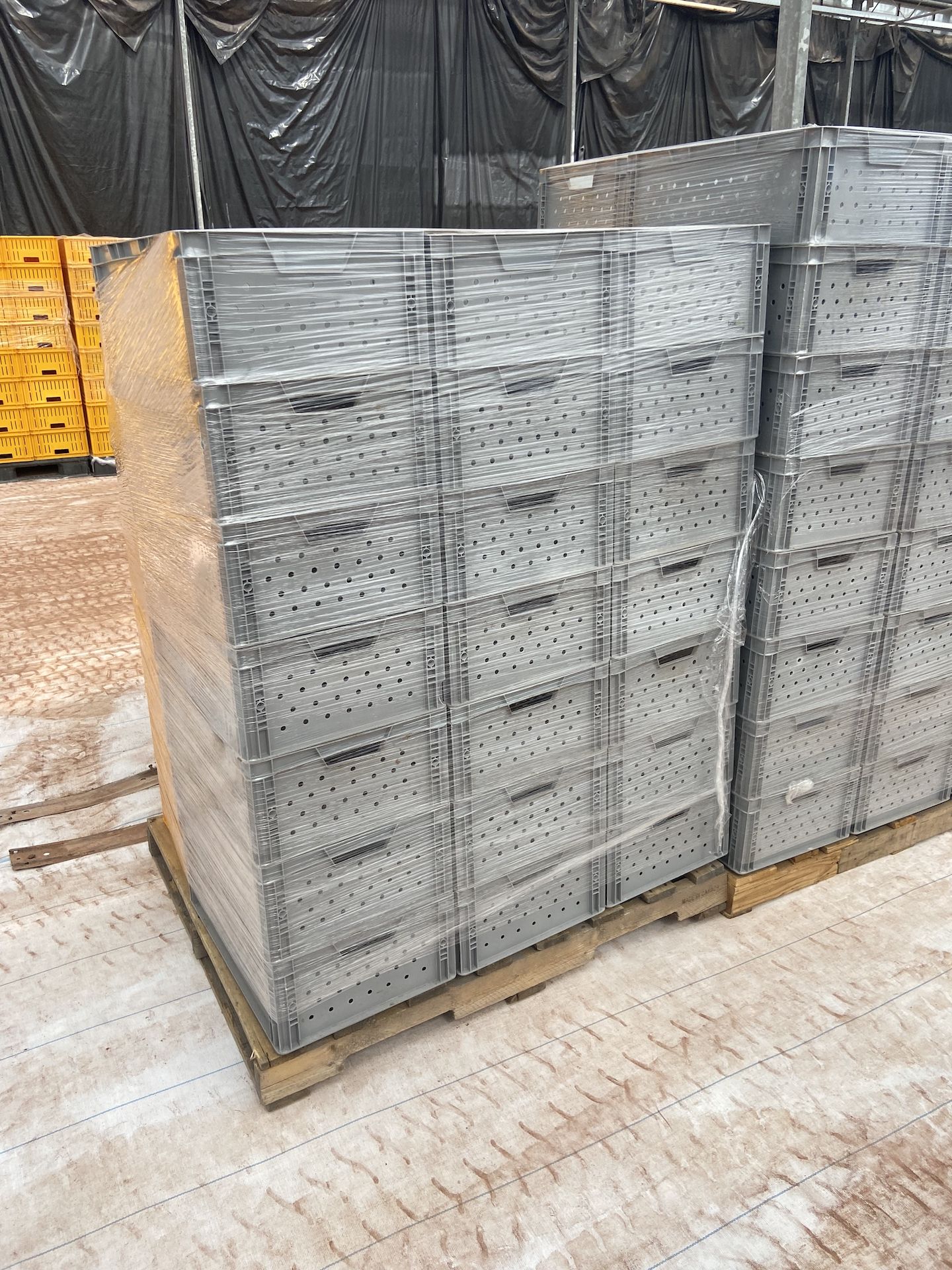 (Located in Snowflake, AZ) Gray Crates, Qty 32 (1 Pallet)
