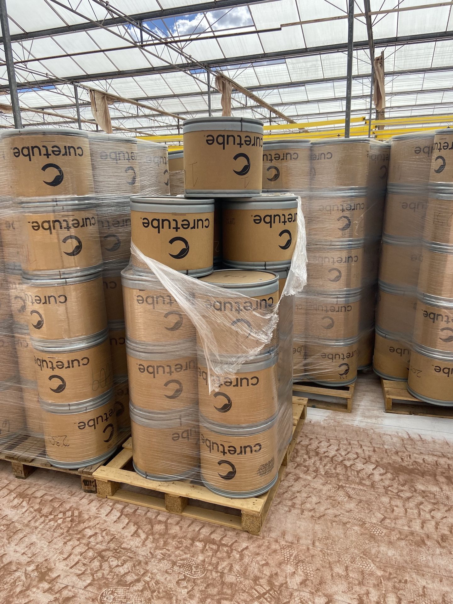 (Located in Snowflake, AZ) Cure Tubes, Qty 45 (1 Pallet) - Image 8 of 8