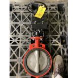 10 inch, unused, manual, butterfly valve.