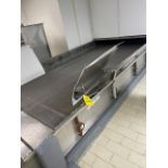 Stainless Steel Motorized Conveyor, 60" Wide SS Belt x 120' Length, Includes Belt Wash System