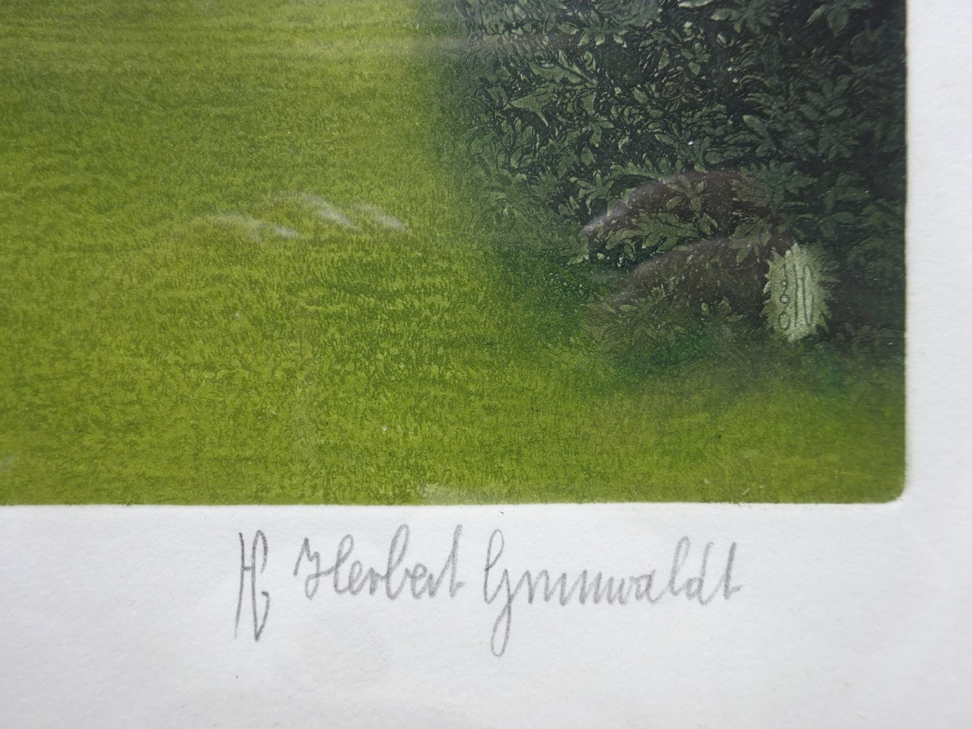 Grunwaldt - Katharinenof für Janssen - Bild 4 aus 6