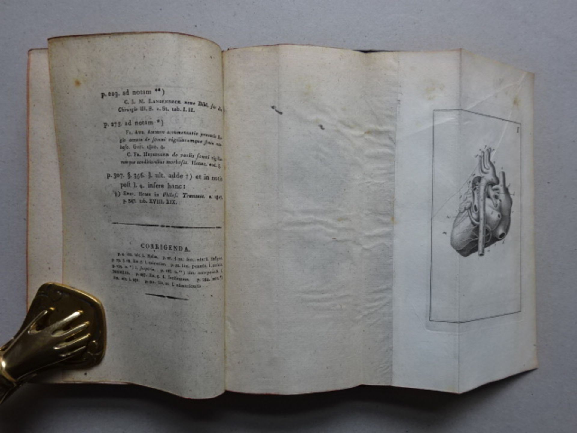 Blumenbach - Physiologicae & Beig. - Image 7 of 8