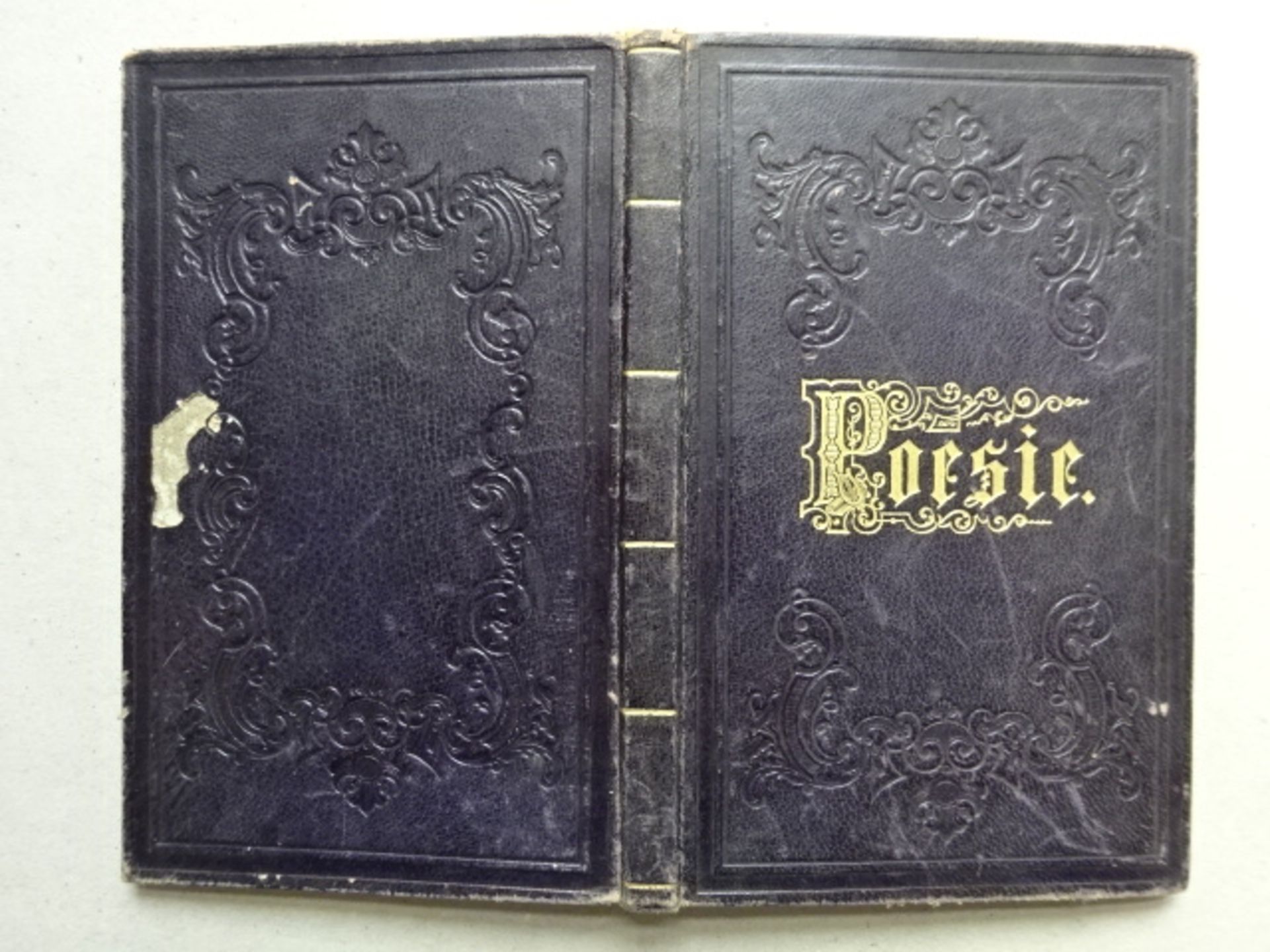 Poesie-Album Kiel 1855 - Bild 7 aus 7