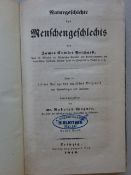 Prichard - Menschengeschlecht