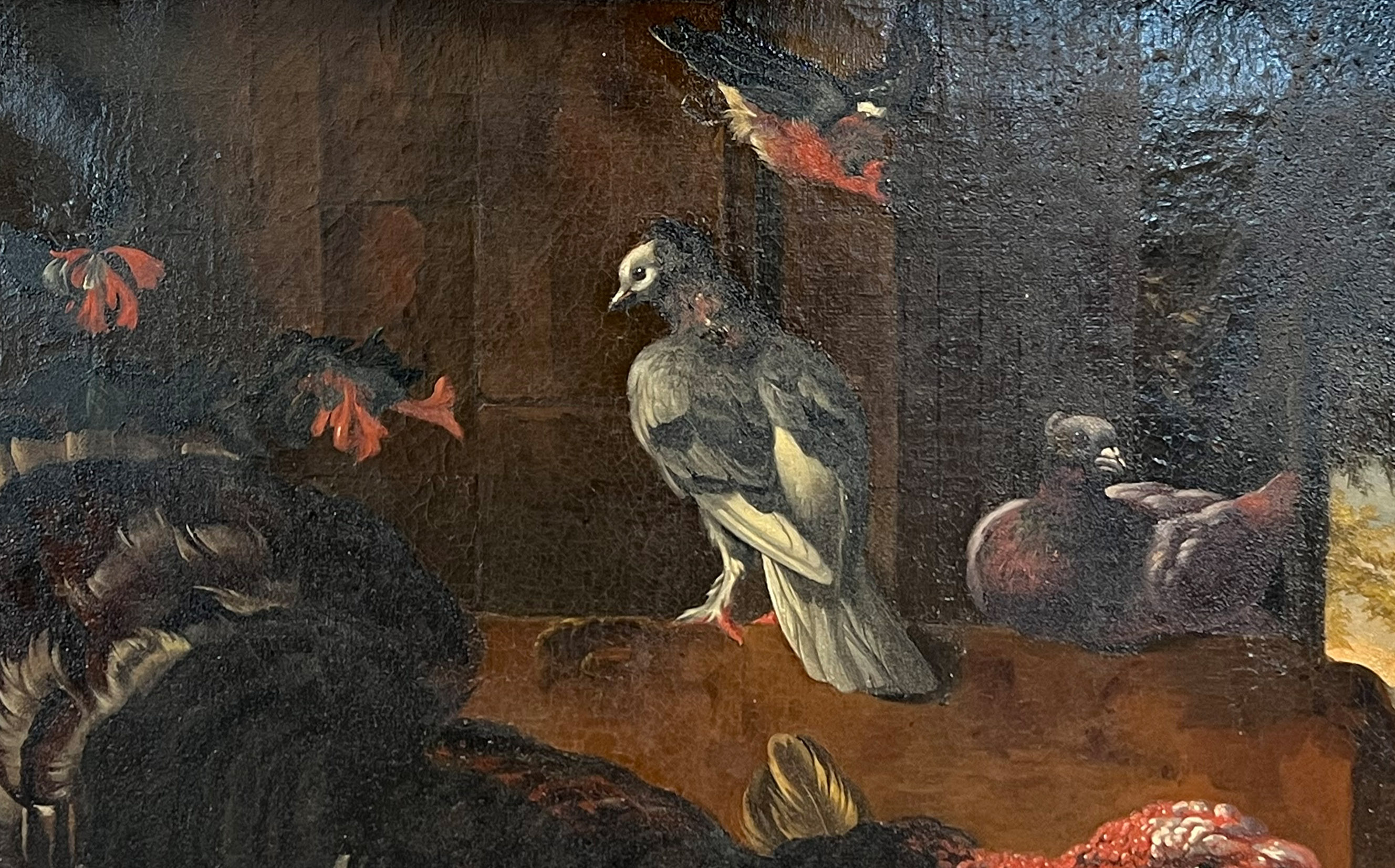 Probably around or after Melchior DE HONDECOETER (1636 - 1695). Feathered fowl. - Image 3 of 18