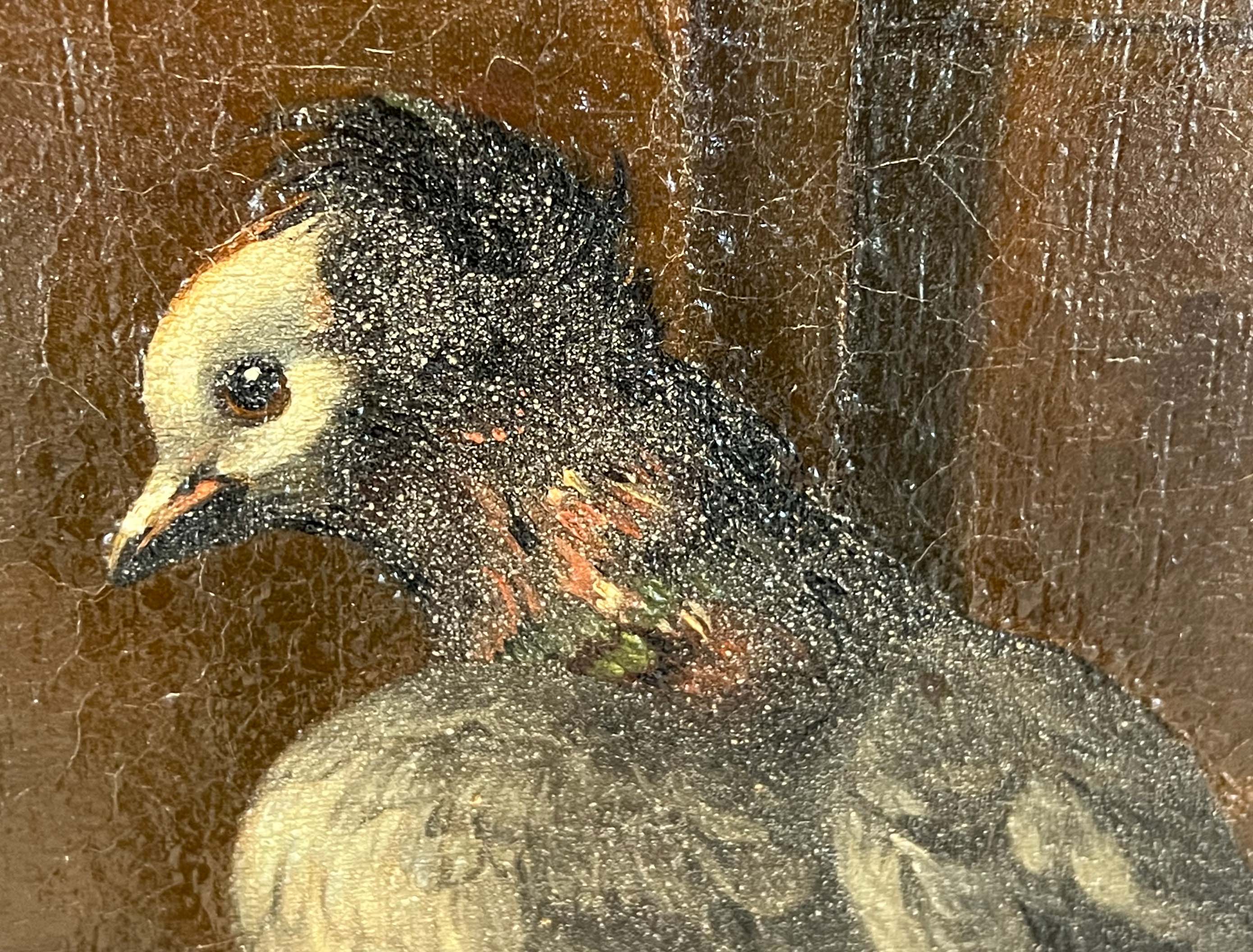 Probably around or after Melchior DE HONDECOETER (1636 - 1695). Feathered fowl. - Image 11 of 18