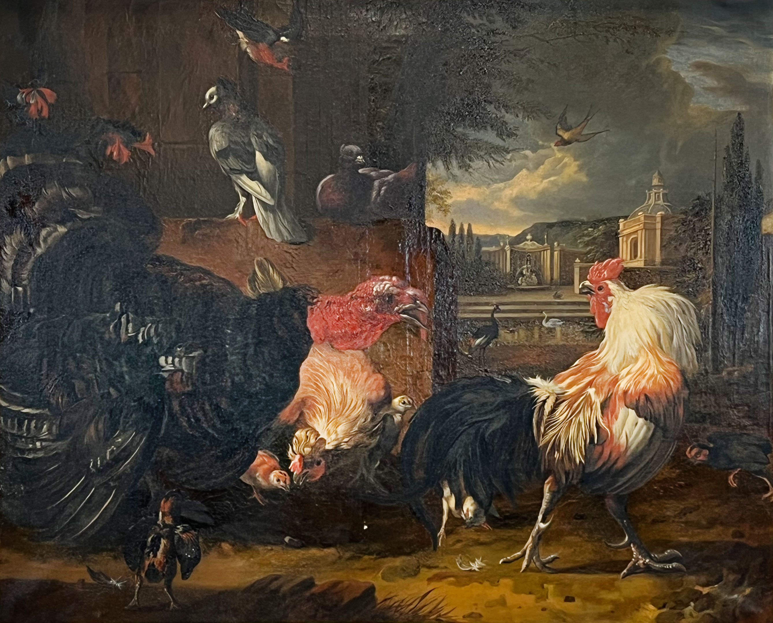 Probably around or after Melchior DE HONDECOETER (1636 - 1695). Feathered fowl.