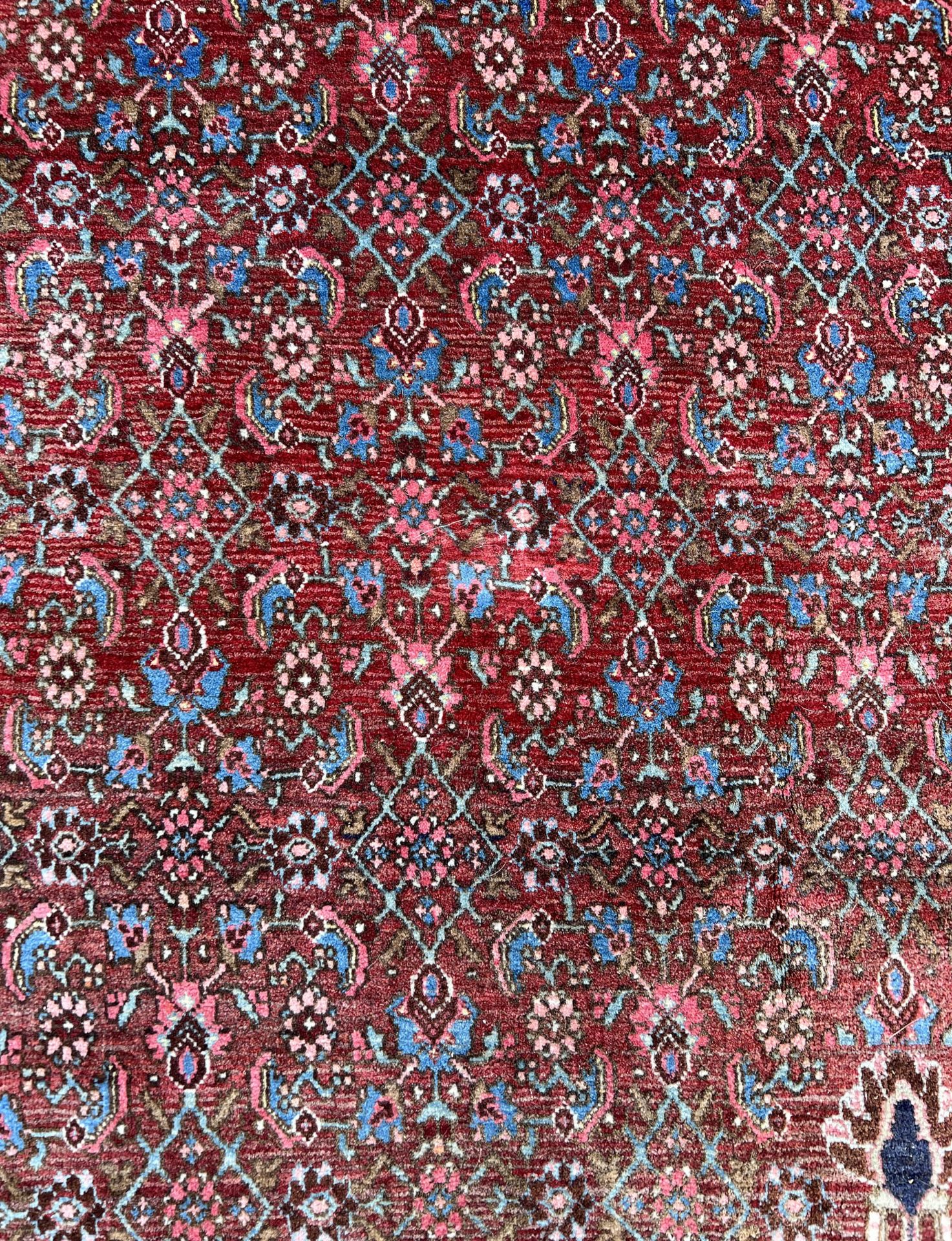 Bijar. Oriental carpet. Around 1950. - Image 11 of 14