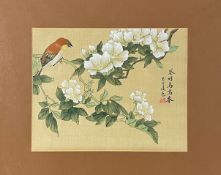YU Chuan (XX). Vogel auf einem blühenden Ast sitzend.