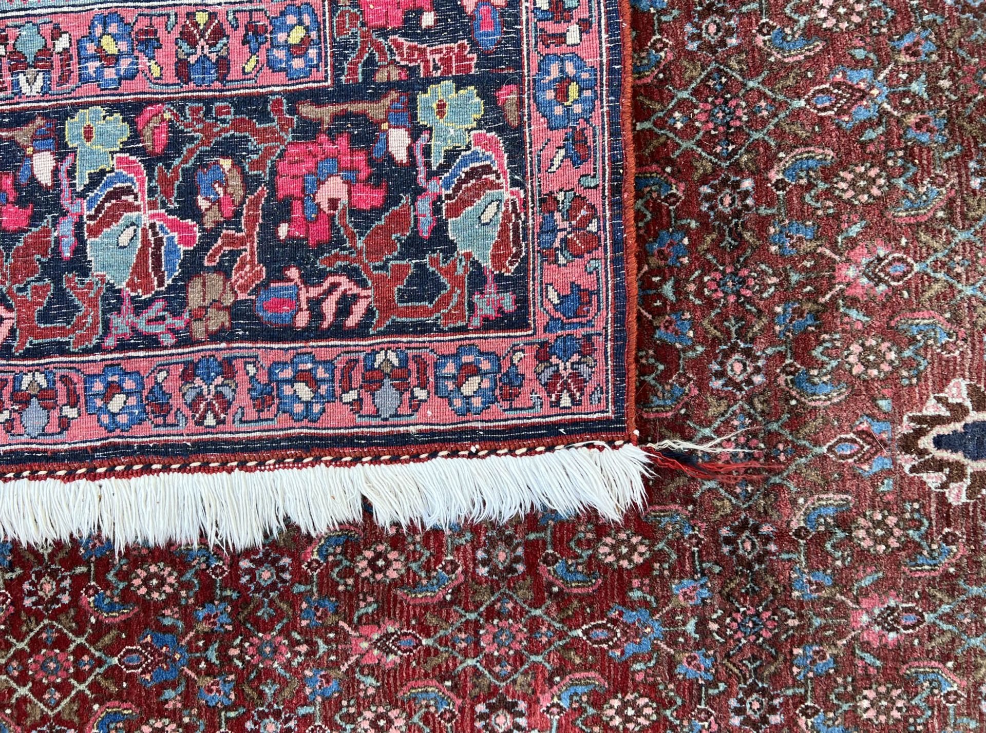 Bijar. Oriental carpet. Around 1950. - Image 13 of 14