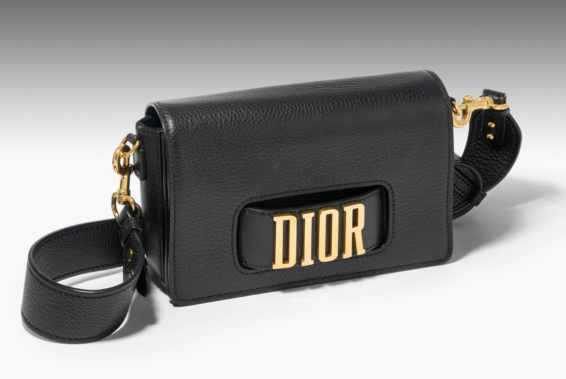 Dior, Handtasche "Dio(r)evolution"