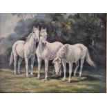 A 20th Century Oil on Canvas of Horses by Francis Fry. Signed LR. 40 x 50cm approx.