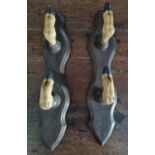 A pair of 19th Century Taxidermy Hat Racks in the form of hooves.