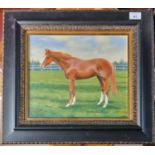 A 20th Century Oil on Board of a Horse. Indistinctly signed Ann Bouchier Hayes. 26 x 30cm approx.