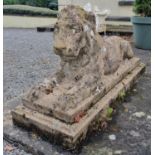 A fantastic pair of 19th Century Stone Loins in crouched pose on rectangular plinth bases, 134l x