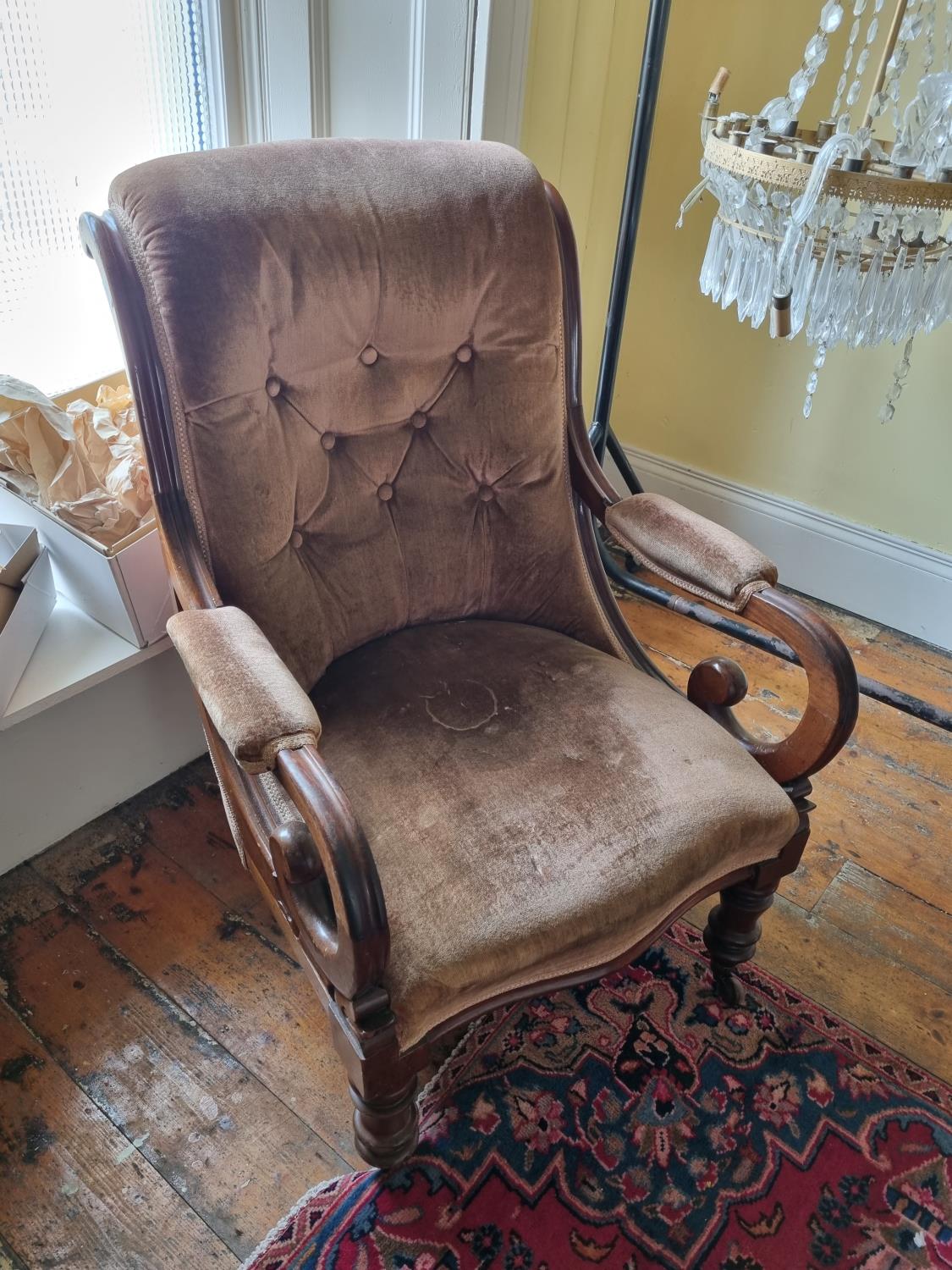 A 19th Century Mahogany show frame Armchair with scroll arms.