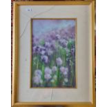 A 20th Century Pastel of wild garlic flowers, signed Hemmings LR. (glass cracked).