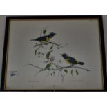 A Watercolour of two Bananaquits by Joanie Skete. 21 x 34 cm approx.