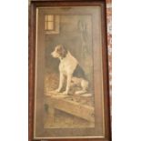 A 19th Century coloured Print of a hound. After Albert DeGesne. Signed LL in a good original oak