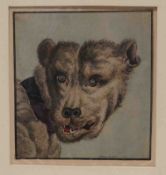 Goldhann, Franz: "Hundekopf"