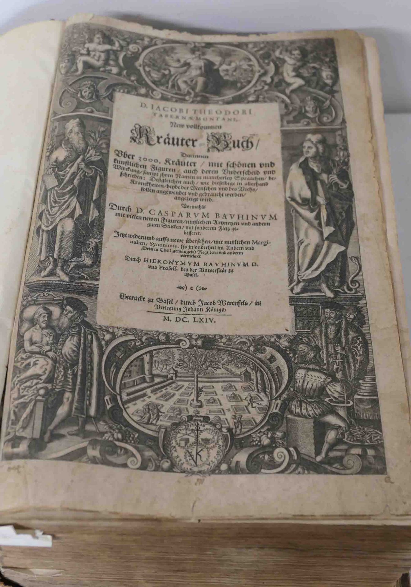 Dr. Jacobus Theodorus Kräuterbuch