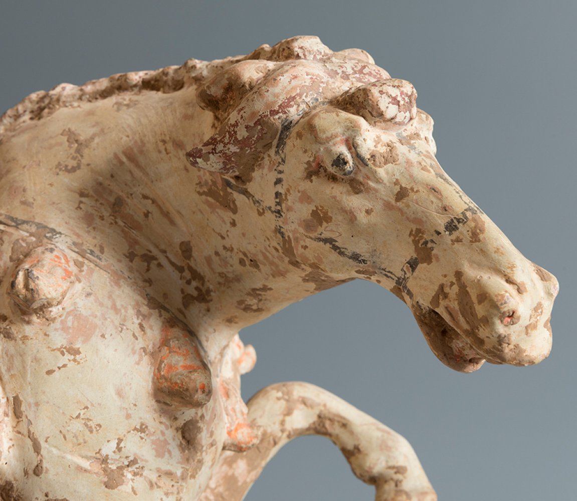 Horse. China. Tang Dynasty, AD 618-907.Terracotta and pigments.Provenance: private collection, A. - Image 6 of 7