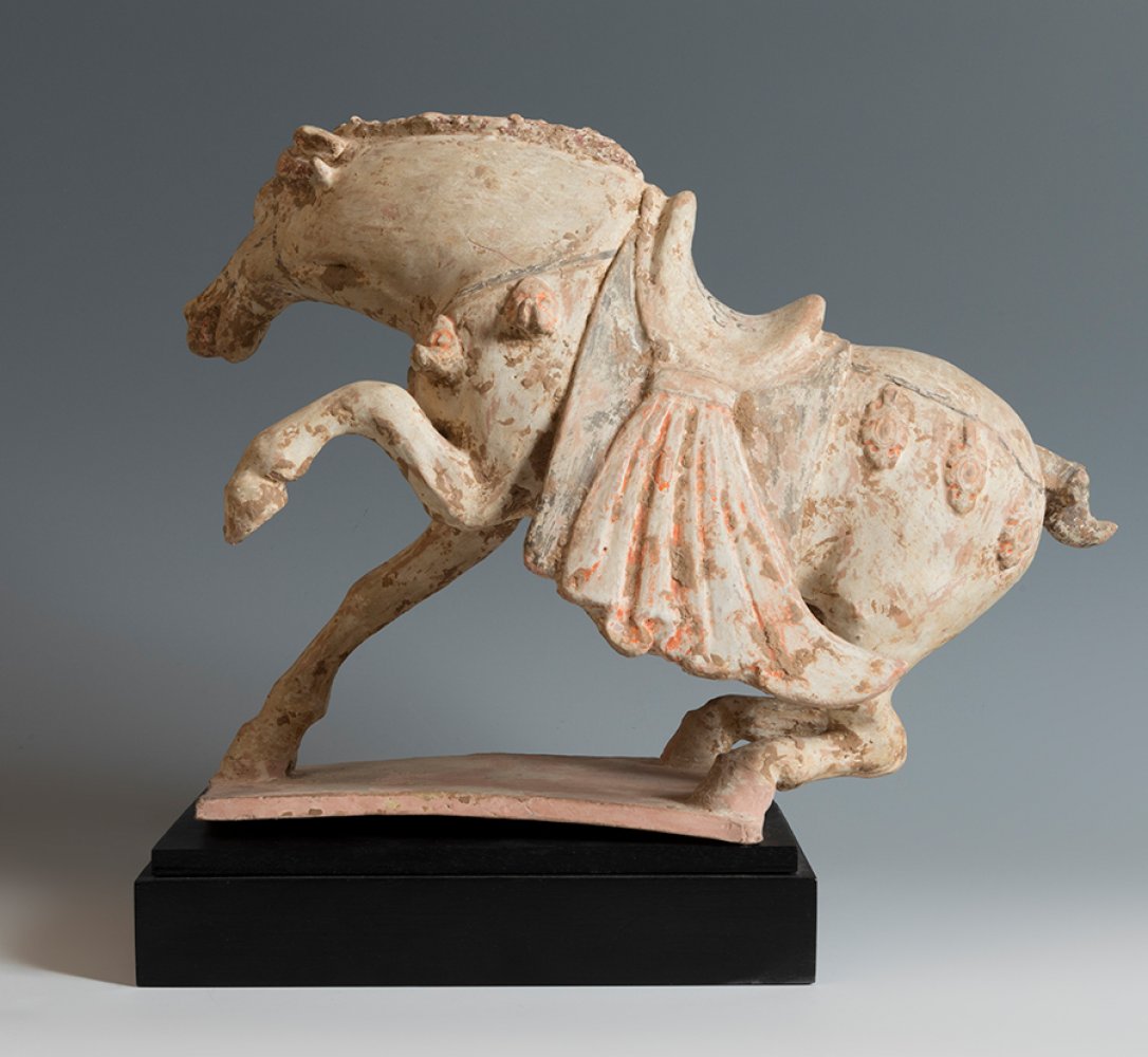 Horse. China. Tang Dynasty, AD 618-907.Terracotta and pigments.Provenance: private collection, A. - Image 3 of 7