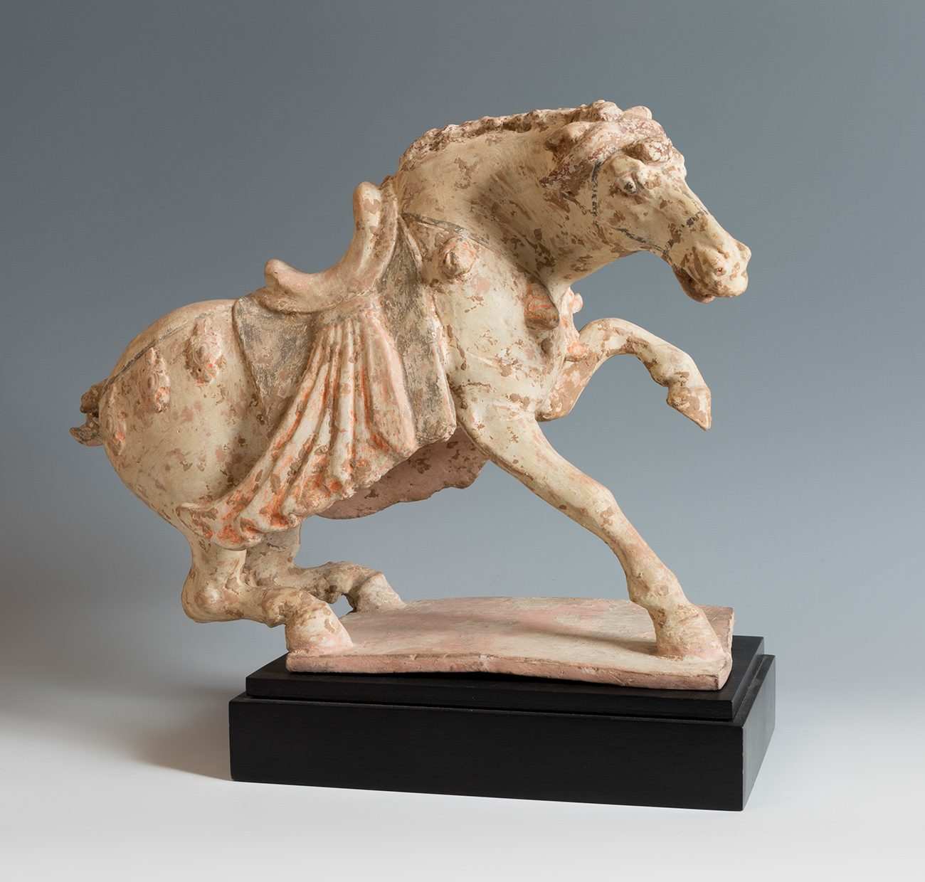 Horse. China. Tang Dynasty, AD 618-907.Terracotta and pigments.Provenance: private collection, A.