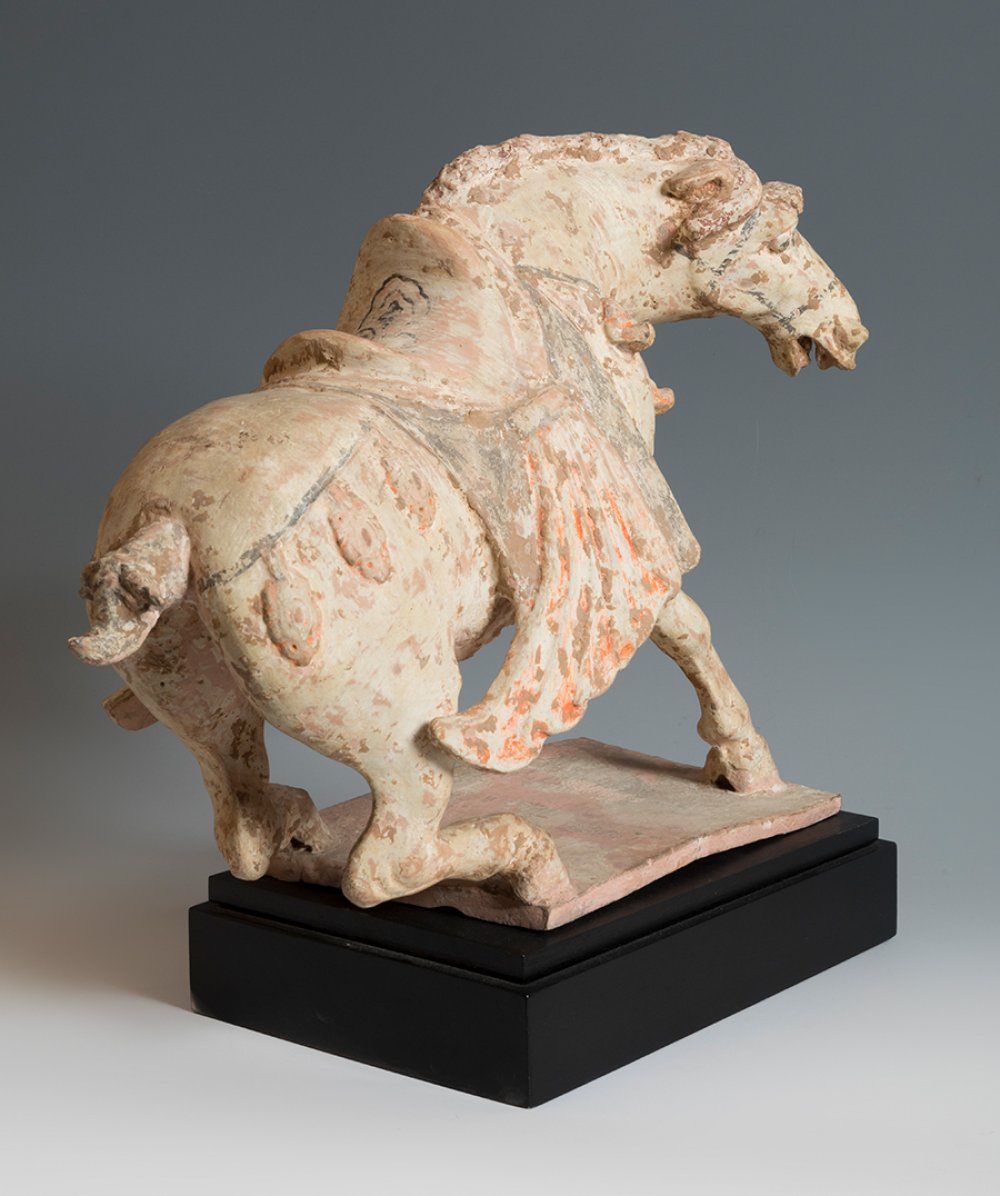 Horse. China. Tang Dynasty, AD 618-907.Terracotta and pigments.Provenance: private collection, A. - Image 2 of 7