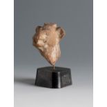 Animal head. Smyrna, 3rd century BC.Terracotta.Provenance: Smyrna, 1895-1905. Collection Paul Gaudin