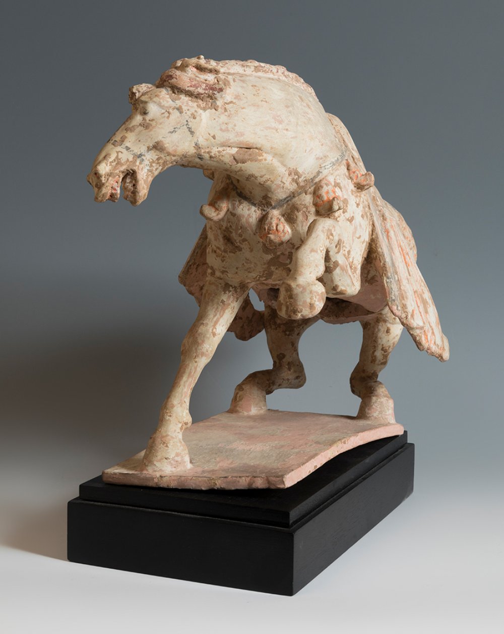 Horse. China. Tang Dynasty, AD 618-907.Terracotta and pigments.Provenance: private collection, A. - Image 7 of 7
