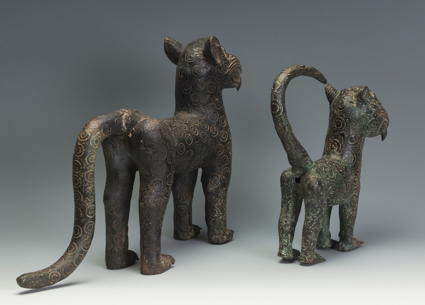 Pair of leopards. Benin, 20th century.Cast bronze.Sizes: 37,5 x 54 x 11,5 cm and 32,5 x 32,5 x 9,5 - Image 3 of 7