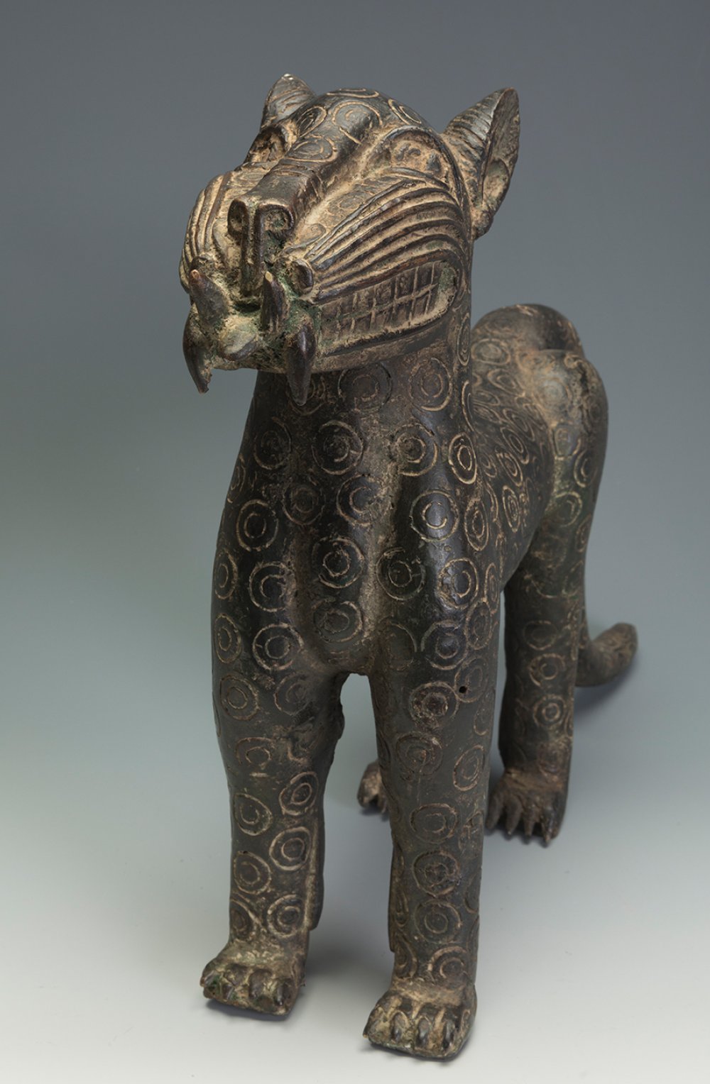 Pair of leopards. Benin, 20th century.Cast bronze.Sizes: 37,5 x 54 x 11,5 cm and 32,5 x 32,5 x 9,5 - Image 5 of 7