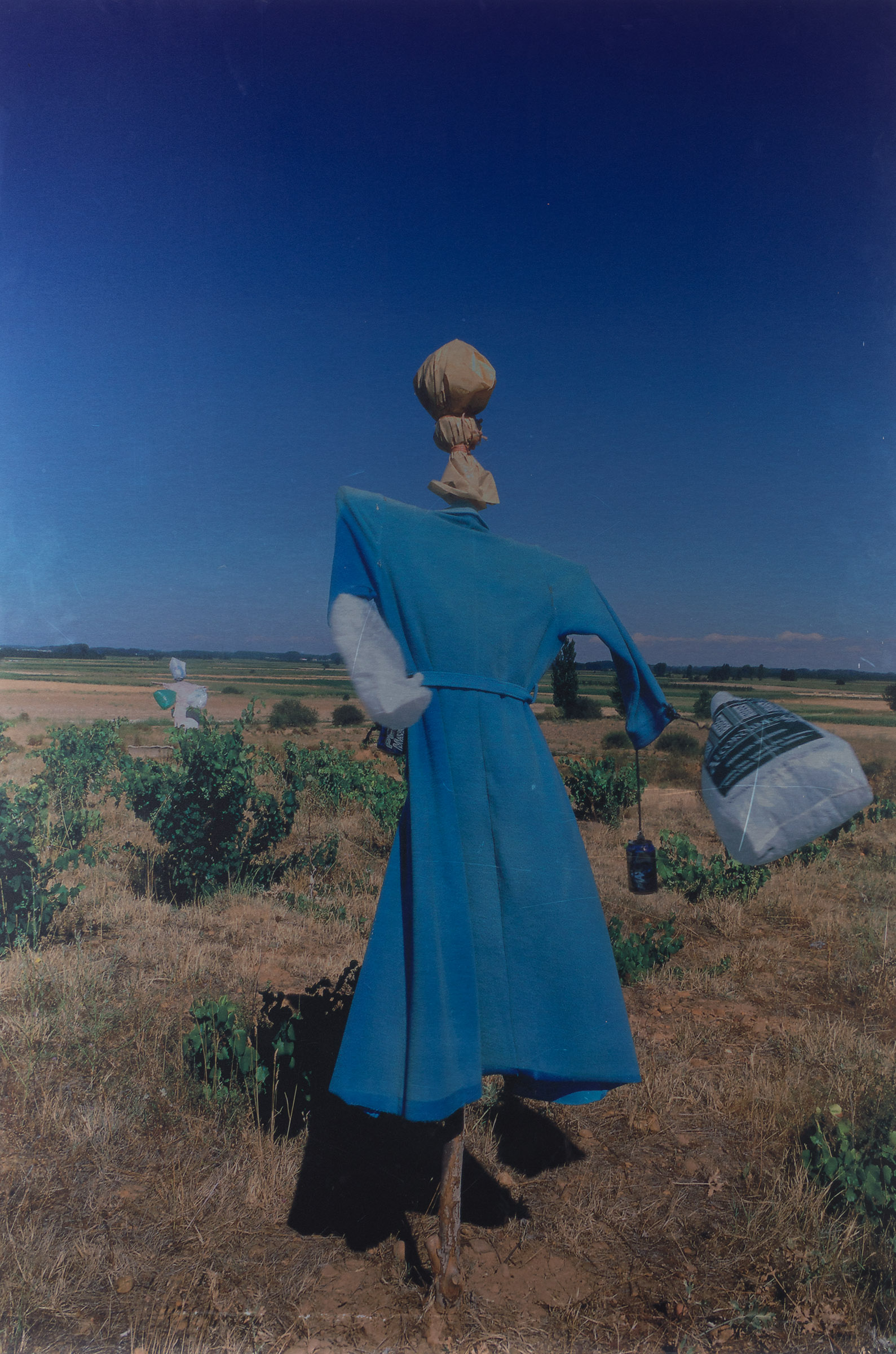 ROSA PUIG TORRES (Esparreguera, 1960)."Scarecrow" 2007.Direct print on Dibond aluminium, copy 1/5.