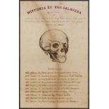 19th century Cuban school."History of a skull".Ink and watercolour on paper.It presents spots of