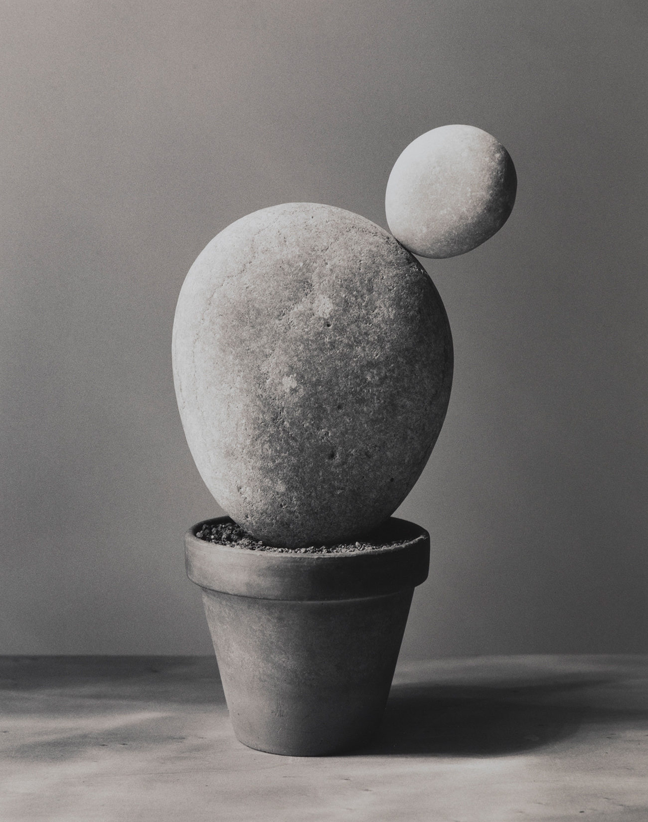 CHEMA MADOZ (Madrid, 1958)Untitled, 2000.Positive bromide virado. Copy 3/15.With the label of the