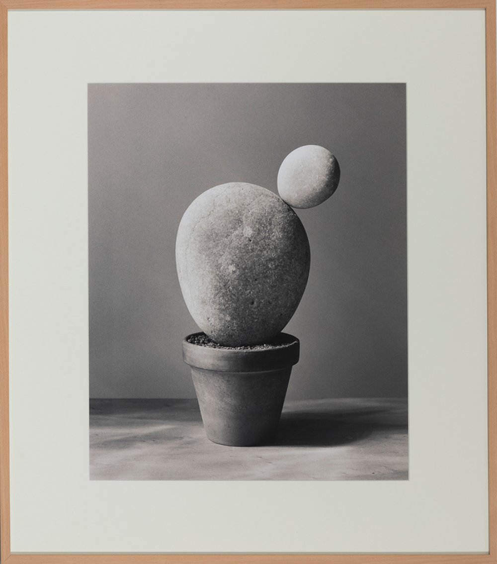 CHEMA MADOZ (Madrid, 1958)Untitled, 2000.Positive bromide virado. Copy 3/15.With the label of the - Image 3 of 4