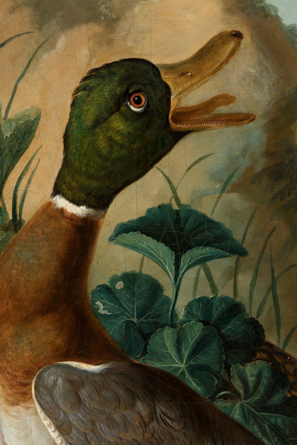 VENCESLAO WEHRLIN (Italy, 1746 (?) -1780)."Hawk Hunting a Baby Duck".Oil on canvas.Signed at lower - Image 5 of 7