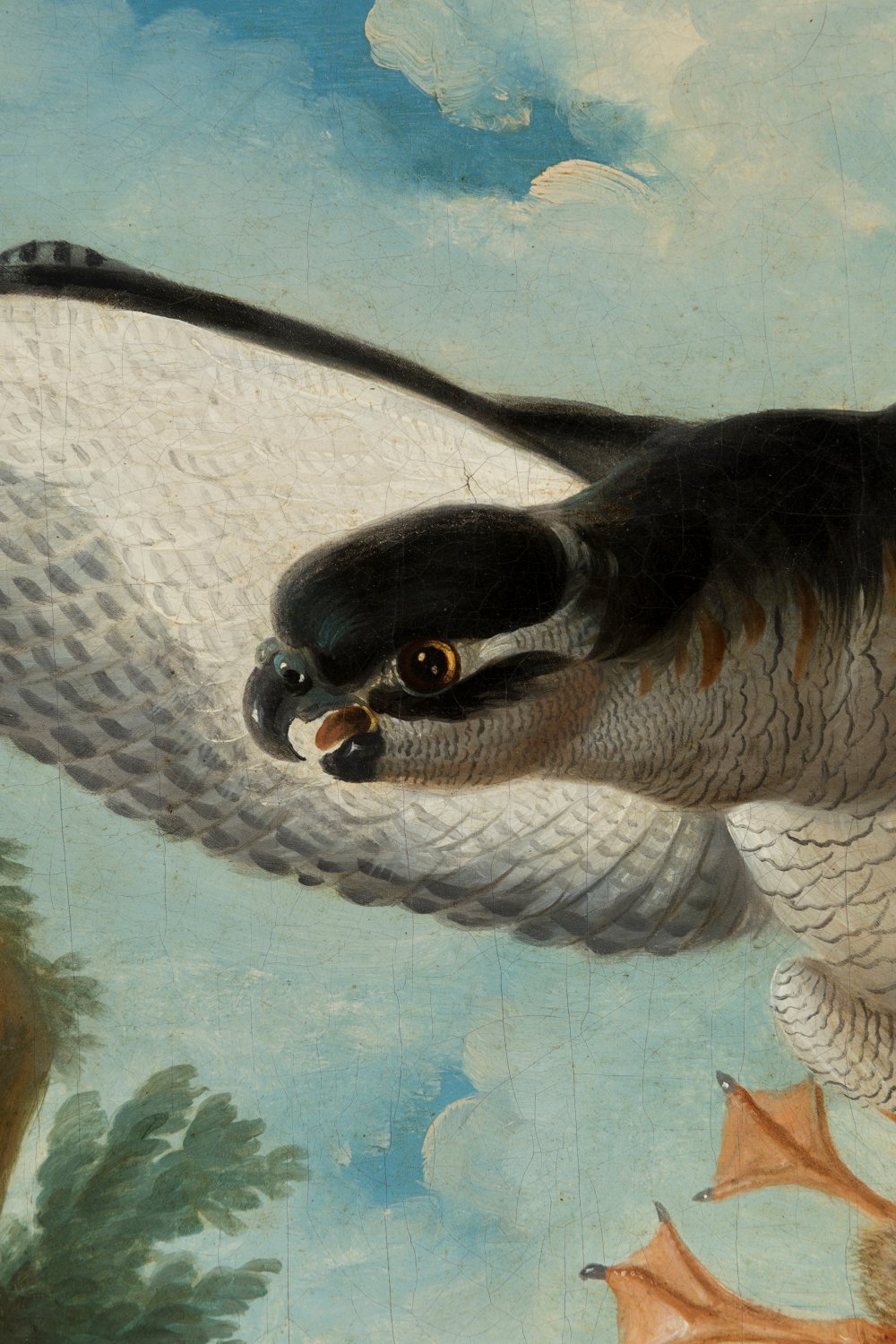 VENCESLAO WEHRLIN (Italy, 1746 (?) -1780)."Hawk Hunting a Baby Duck".Oil on canvas.Signed at lower - Image 3 of 7