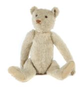 Teddybär Steiff, wohl 1906-1933,