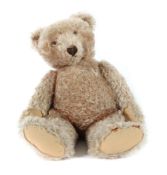 Original Teddy Steiff, wohl 5365,01,