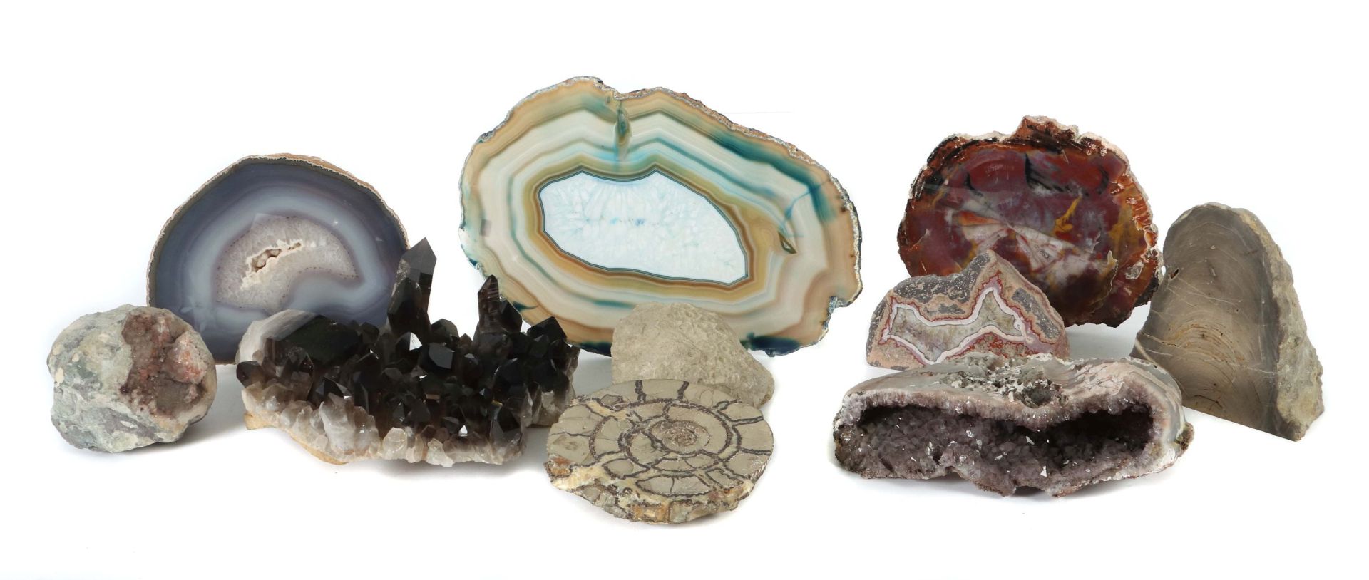 Sammlung Mineralien & Versteinerungen
