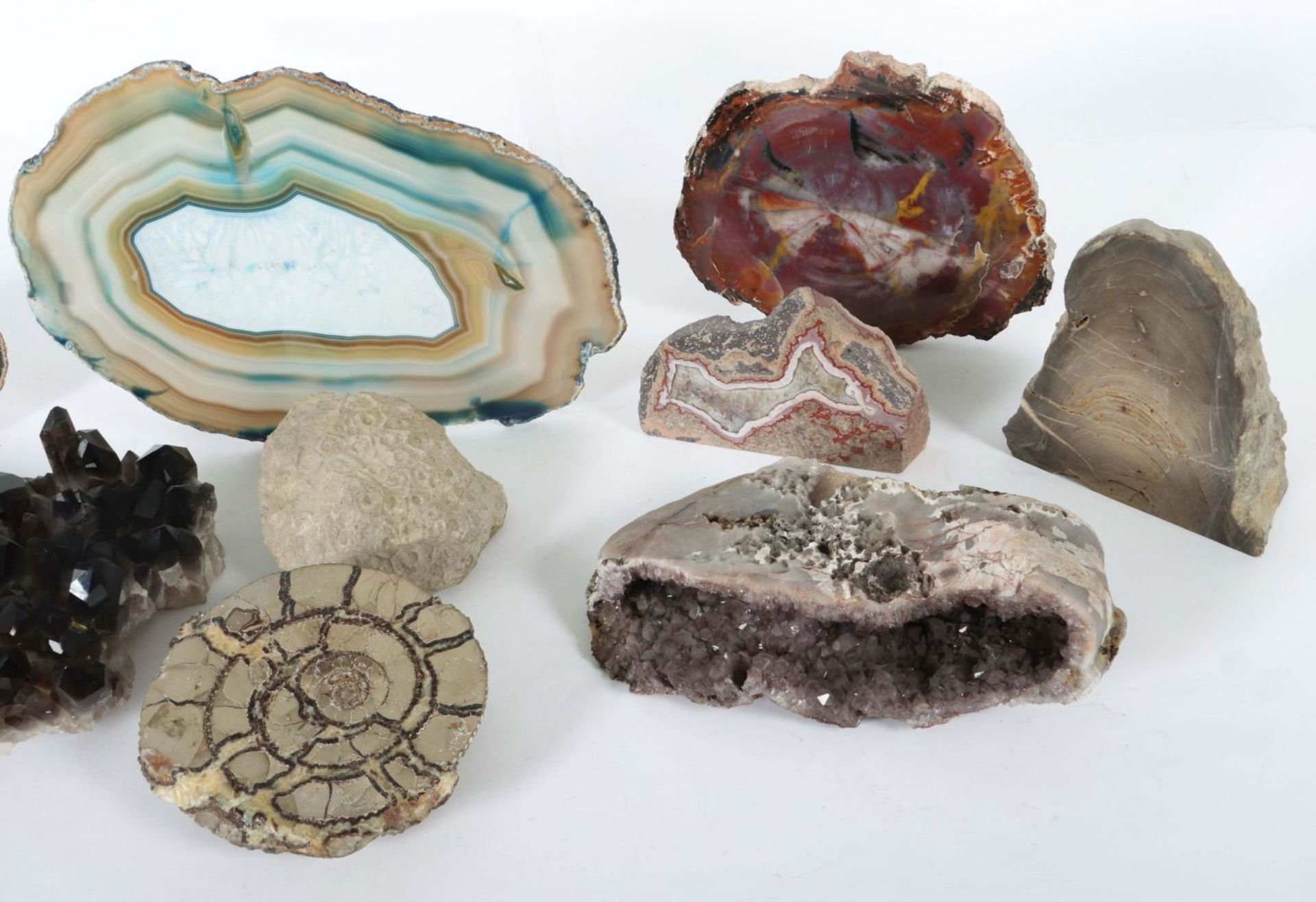 Sammlung Mineralien & Versteinerungen - Image 3 of 3